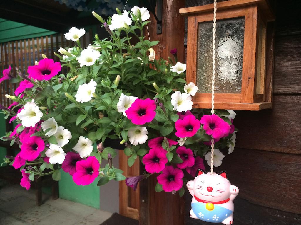 清邁 Green House Backpacker旅舍 外观 照片